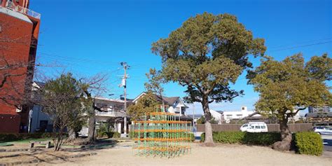 徳島県のハッテン場情報｜ゲイビー